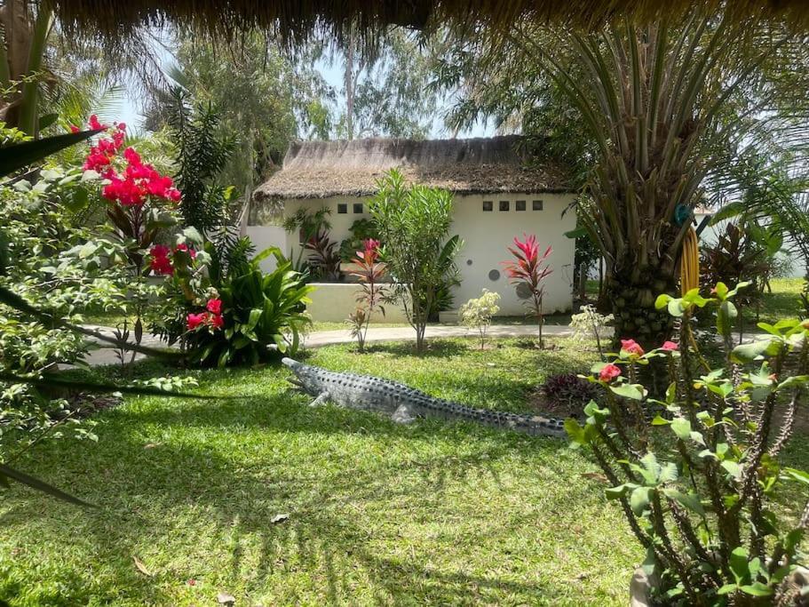 Villa Oasis Club Cap Skirring Esterno foto