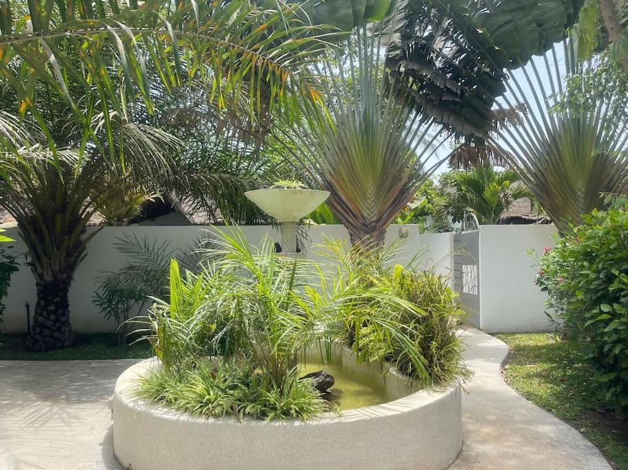 Villa Oasis Club Cap Skirring Esterno foto